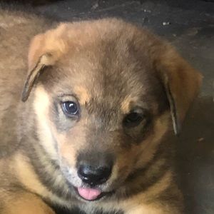 Meet your Posher, Yenny